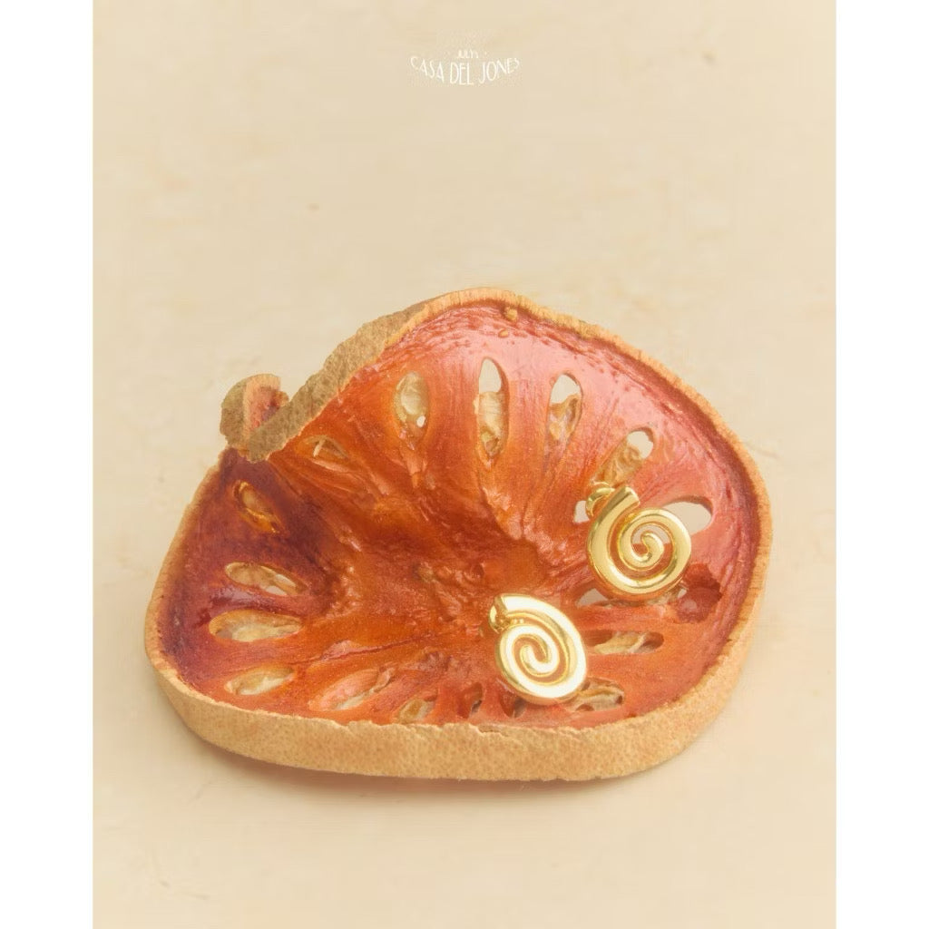 ￼Julys - Dizzy Spiral Earrings